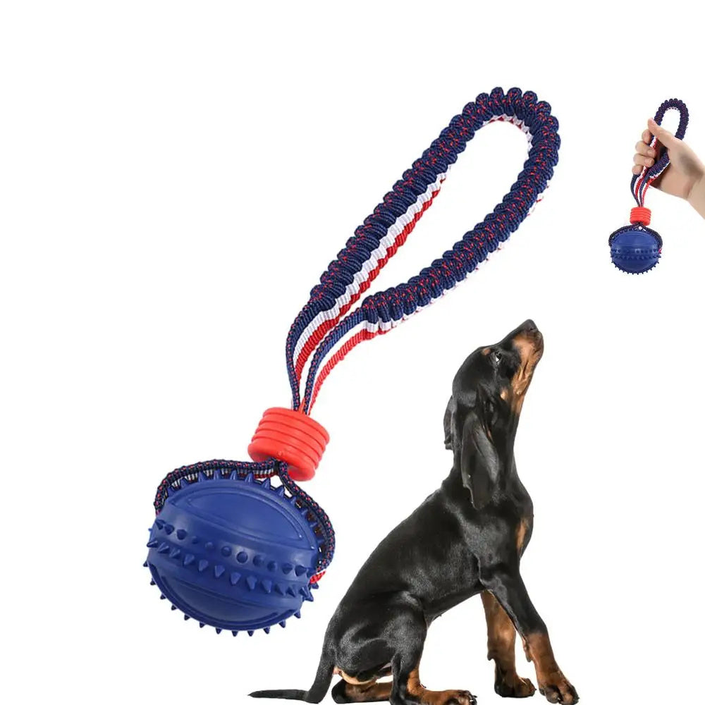 Interactive Dog Toy Ball with Rope – Perfect for Chewing & Training!