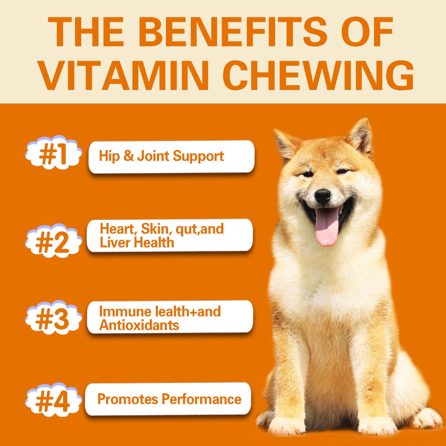 Multifunctional Pet Vitamins for Health & Vitality in Dogs!