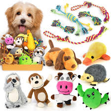Chew Toys