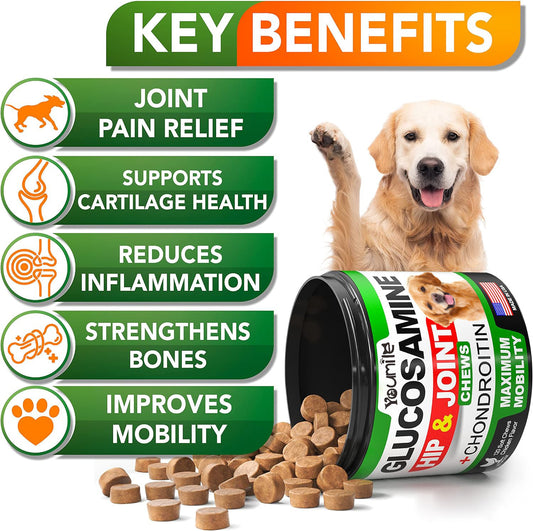 Move Freely: Premium Pet Hip & Joint Supplement with Chondroitin for Enhanced Mobility!