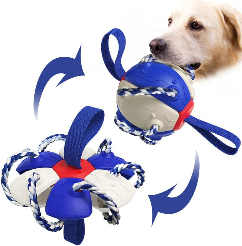 Interactive Inflatable Dog Soccer Ball for Fun Training & Play!