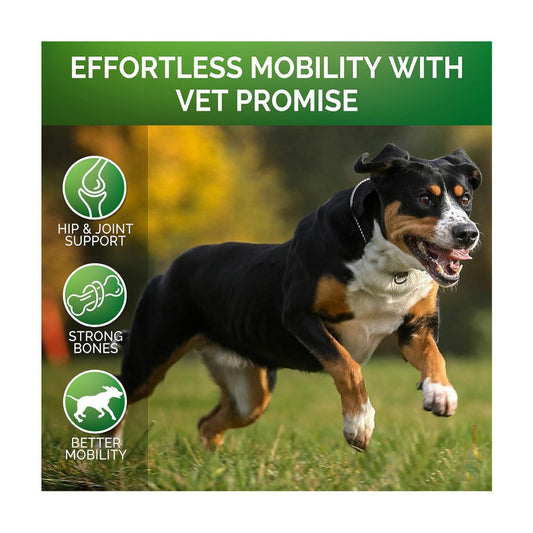 Move Freely: Premium Pet Hip & Joint Supplement with Chondroitin for Enhanced Mobility!