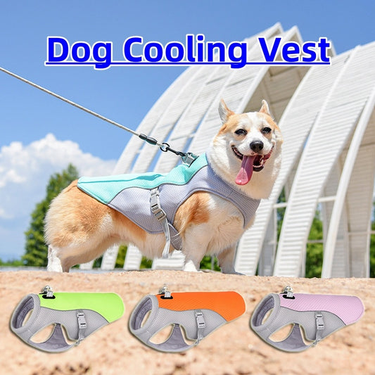 Summer Cooling Vest for Dogs – Breathable, Sun-Proof & Heat-Resistant!