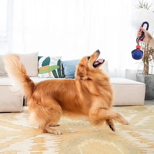 Interactive Dog Toy Ball with Rope – Perfect for Chewing & Training!