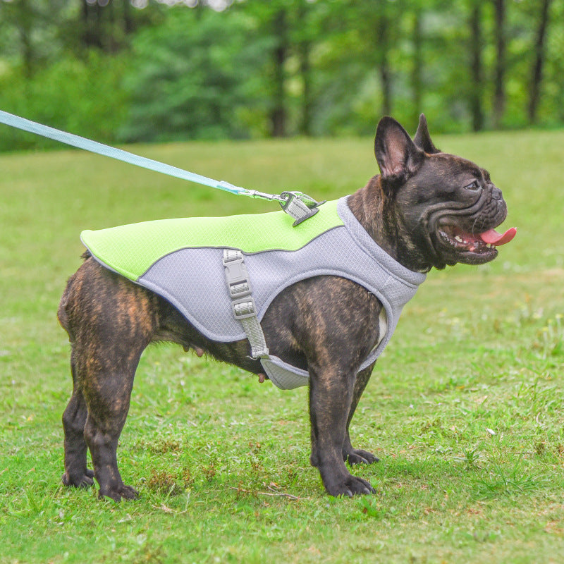 Summer Cooling Vest for Dogs – Breathable, Sun-Proof & Heat-Resistant!