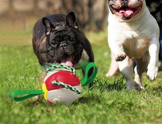 Interactive Inflatable Dog Soccer Ball for Fun Training & Play!